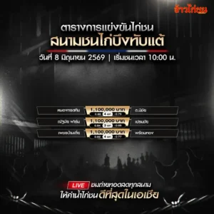 โปรแกรมไก่ชน สนามชนไก่บึงทับแต้ วันจันทร์ที่ 8 มิถุนายน 2569