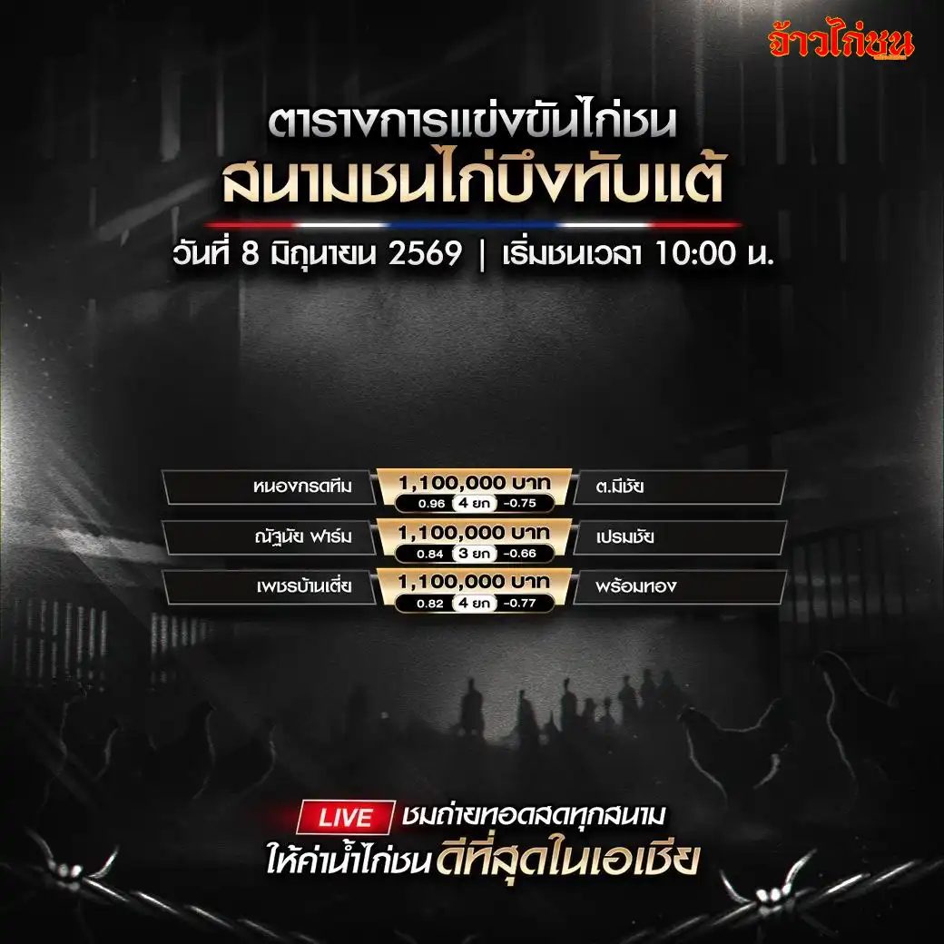 โปรแกรมไก่ชน สนามชนไก่บึงทับแต้ วันจันทร์ที่ 8 มิถุนายน 2569