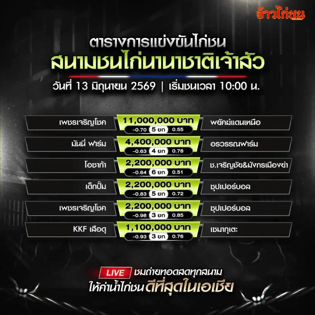 โปรแกรมไก่ชน สนามชนไก่นานาชาติเจ้าสัว 13 มิถุนายน 2569
