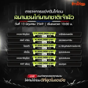 โปรแกรมไก่ชน สนามชนไก่นานาชาติเจ้าสัว 13 มิถุนายน 2569