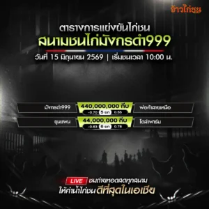 โปรแกรมไก่ชน สนามชนไก่มังกรดำ999 สปป.ลาว 15 มิถุนายน 2026