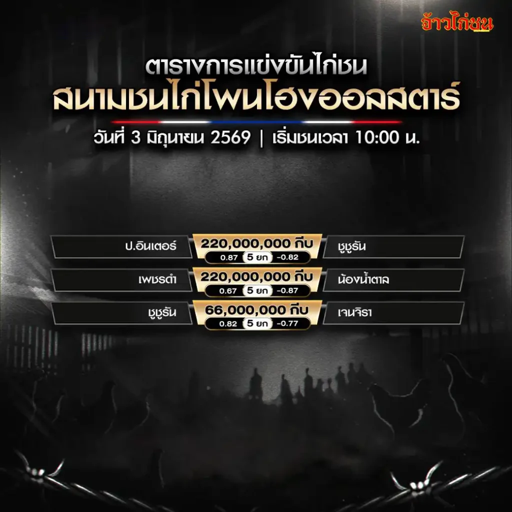 โปรแกรมไก่ชน
