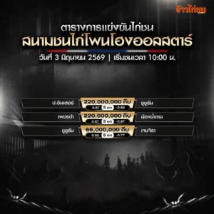 โปรแกรมไก่ชน
