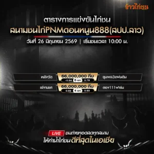 โปรแกรมไก่ชน สนามชนไก่PNMดอนหนูน888 26 มิถุนายน 2569
