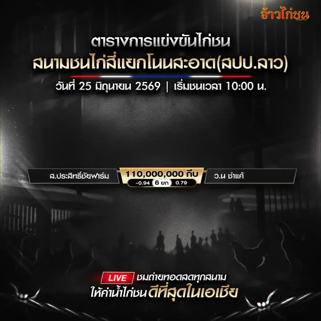 โปรแกรมไก่ชน สนามชนไก่สี่แยกโนนสะอาด 25 มิถุนายน 2026