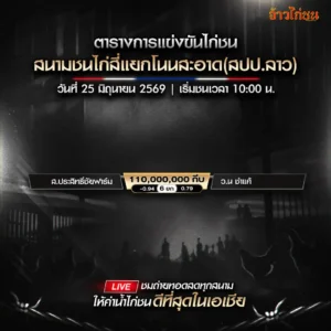 โปรแกรมไก่ชน สนามชนไก่สี่แยกโนนสะอาด 25 มิถุนายน 2026