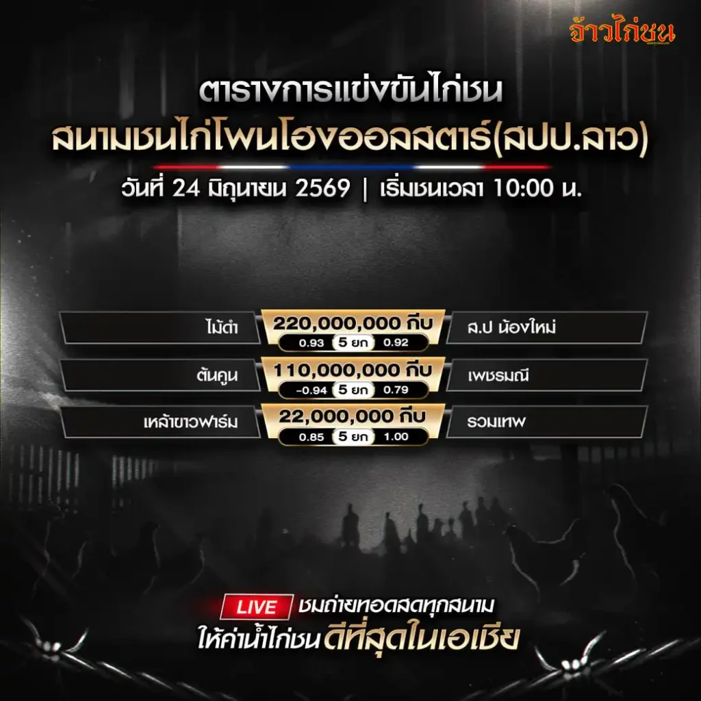 โปรแกรมไก่ชน สนามชนไก่โพนโฮงออลสตาร์ 24 มิถุนายน 2569