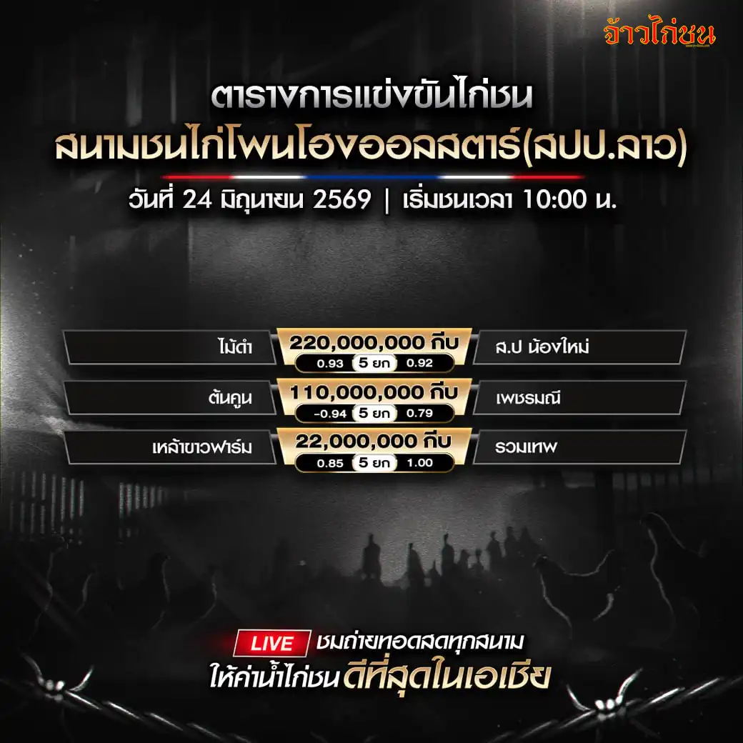 โปรแกรมไก่ชน สนามชนไก่โพนโฮงออลสตาร์ 24 มิถุนายน 2569