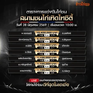 โปรแกรมไก่ชน สนามชนไก่เทิดไทซิตี้ 28 มิถุนายน 2569