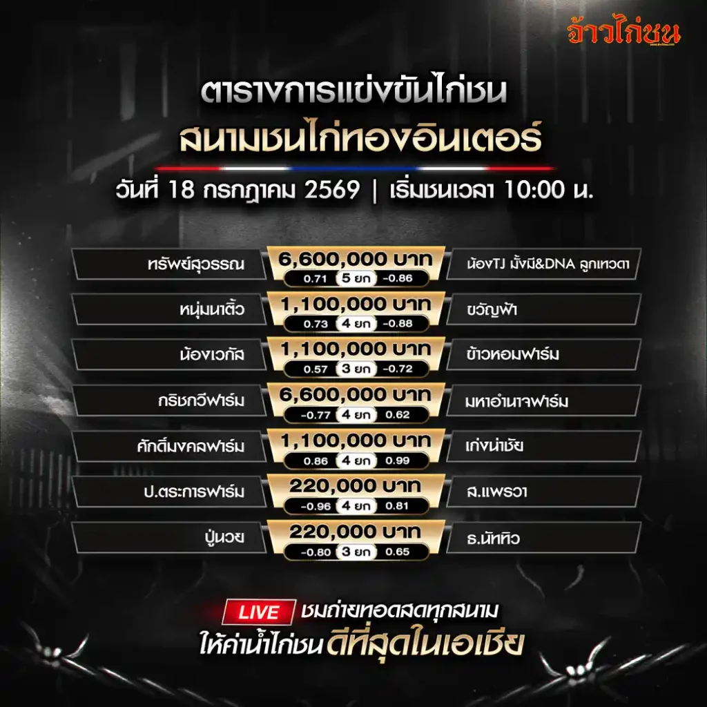 โปรแกรมไก่ชน สนามชนไก่ทองอินเตอร์ 18 กรกฎาคม 2569 ทรัพย์สุวรรณ พบ น้อง TJ มั่งมี DNA ลูกเทวดา
