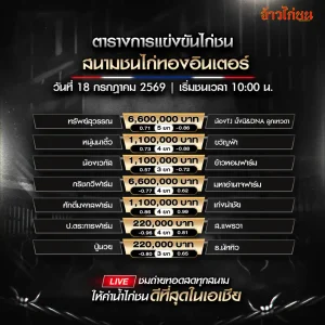 โปรแกรมไก่ชน สนามชนไก่ทองอินเตอร์ 18 กรกฎาคม 2569 ทรัพย์สุวรรณ พบ น้อง TJ มั่งมี DNA ลูกเทวดา