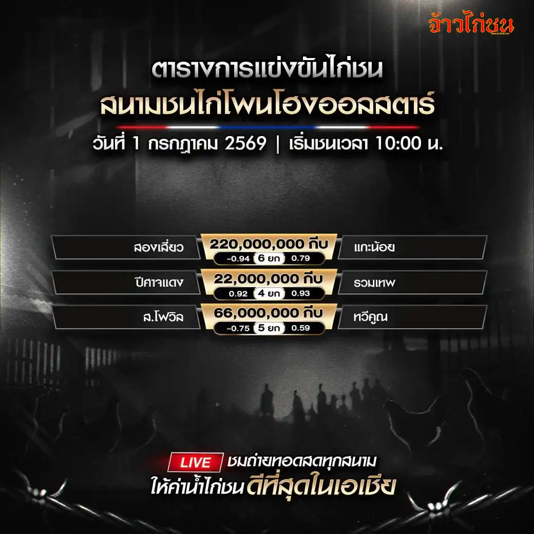 โปรแกรมไก่ชน สนามชนไก่โพนโฮงออลสตาร์ 1 กรกฎาคม 2569