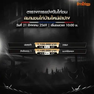 โปรแกรมไก่ชน สนามชนไก่บ้านใหม่ลำปาง 21 สิงหาคม 2569