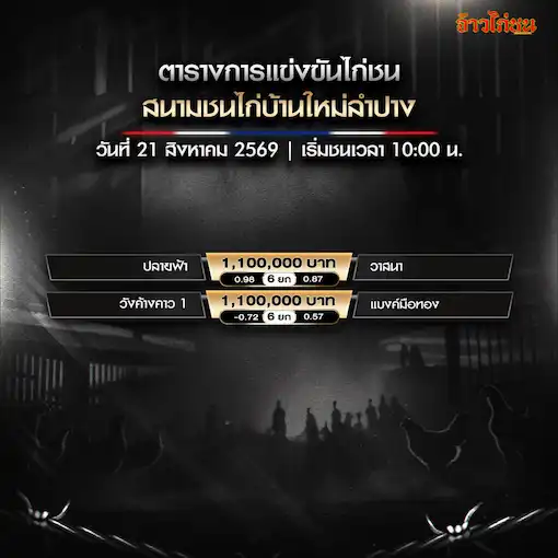 โปรแกรมไก่ชน สนามชนไก่บ้านใหม่ลำปาง 21 สิงหาคม 2569