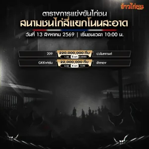โปรแกรมไก่ชน สนามชนไก่สี่แยกโนนสะอาด 13 สิงหาคม 2569