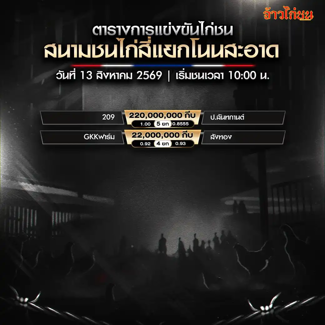 โปรแกรมไก่ชน สนามชนไก่สี่แยกโนนสะอาด 13 สิงหาคม 2569