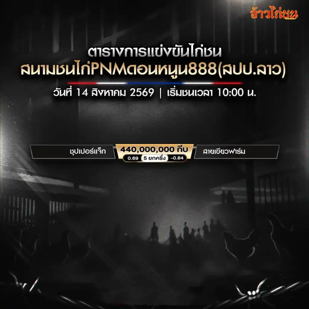 โปรแกรมไก่ชน สนามชนไก่PNMดอนหนูน888 14 สิงหาคม 2569 ตารางการแข่งขัน