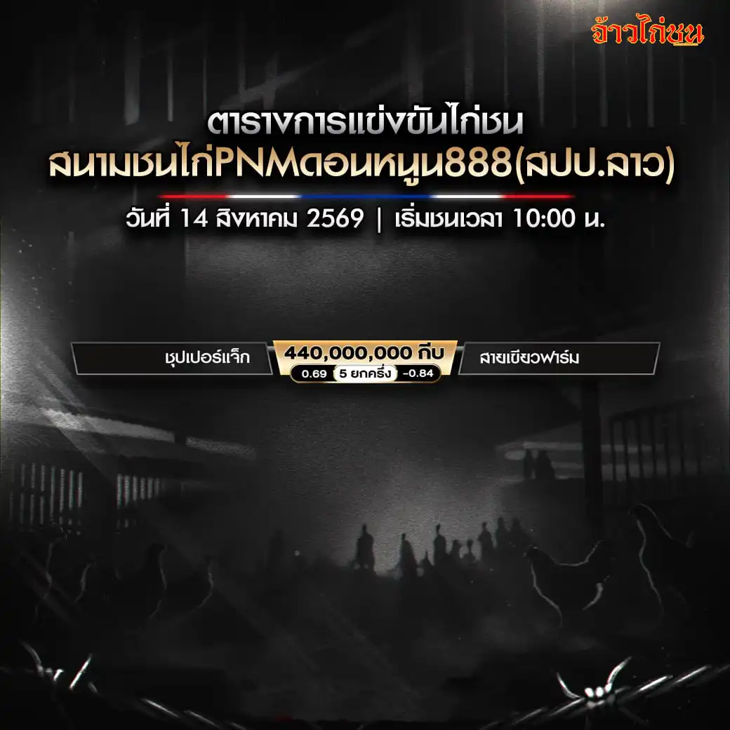 โปรแกรมไก่ชน สนามชนไก่PNMดอนหนูน888 14 สิงหาคม 2569 ตารางการแข่งขัน