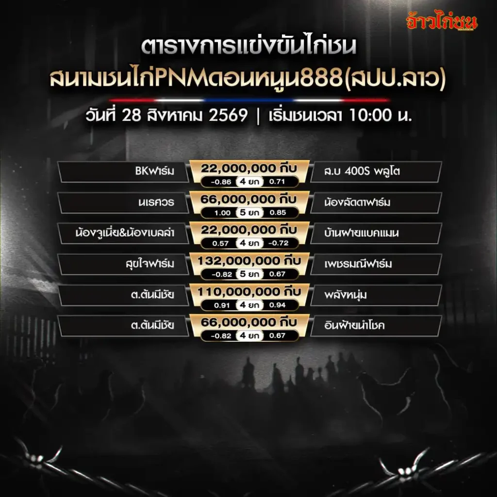 donnoon-888-28-aug-2026.webp โปรแกรมไก่ชน PNM ดอนหนูน 888 วันที่ 28 สิงหาคม 2569