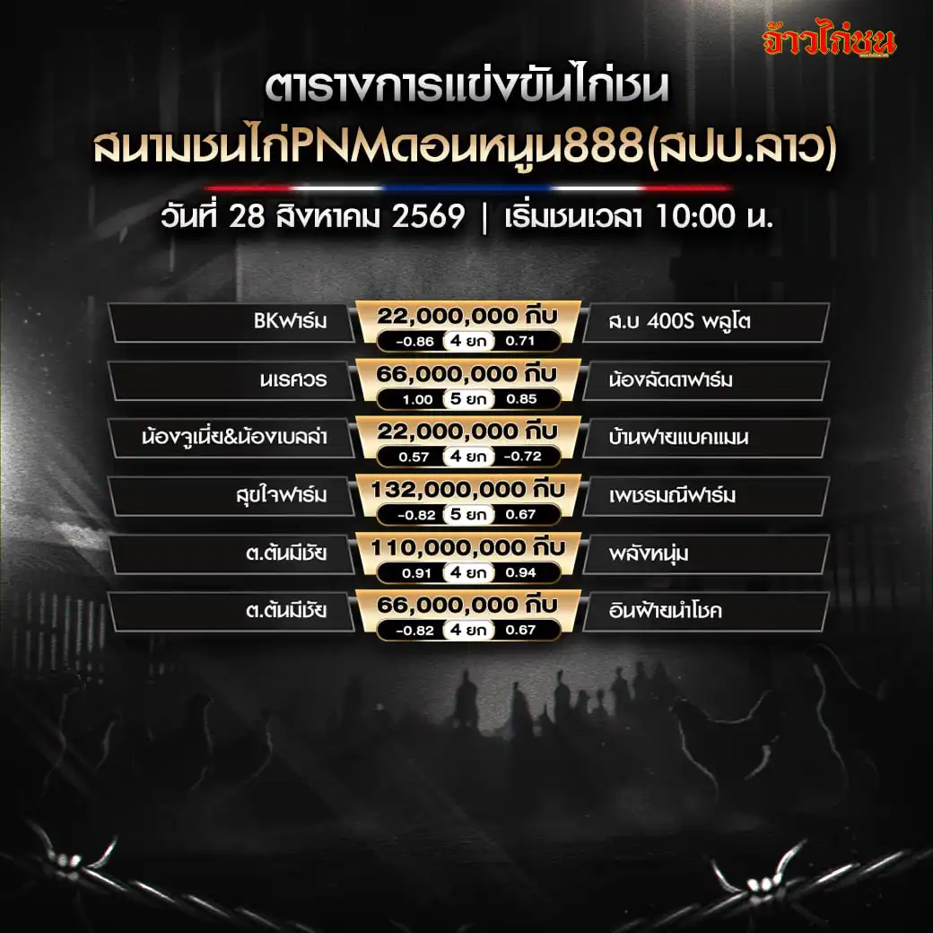 donnoon-888-28-aug-2026.webp โปรแกรมไก่ชน PNM ดอนหนูน 888 วันที่ 28 สิงหาคม 2569
