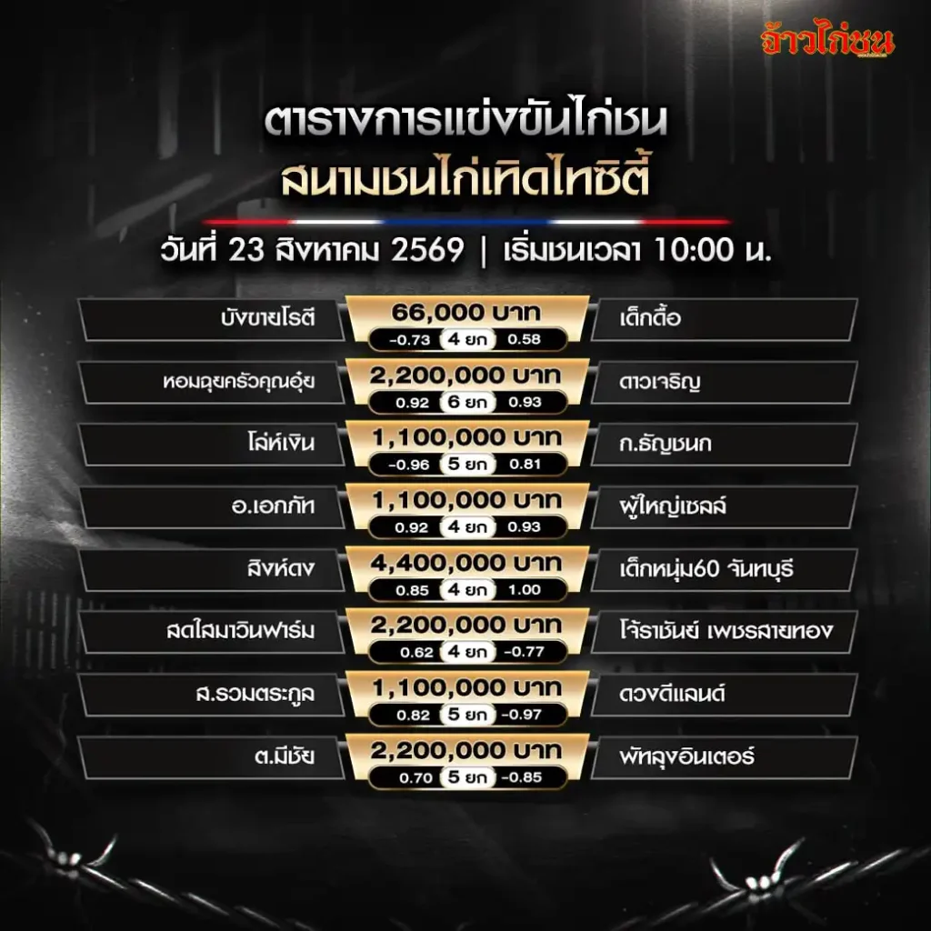 โปรแกรมไก่ชน สนามชนไก่เทิดไทซิตี้ 23 สิงหาคม 2569 ครบ 8 คู่