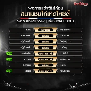สรุปผลไก่ชน เทิดไทซิตี้ 9 สิงหาคม 2569 ผลการแข่งขันครบ 9 คู่